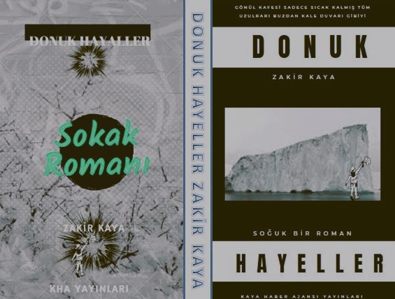 Zakir Kaya Donuk Hayaller