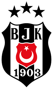 Beşiktaş: İlk Tescilli Kulüp, Öz Kaynak Geleneği ve Amatör Branşlardaki Başarılar